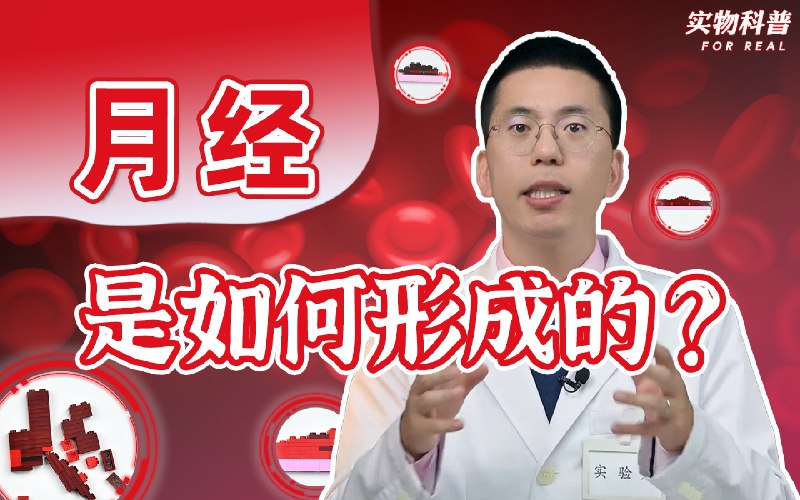 【硬核科普】月经是如何形成的？月经初潮，对于很多女性来讲，都是一段焦虑，惶恐，自卑……的时光，因为没有人教我们该如何面对身体上的生理变化，更没有人陪伴我们一起度过那段时光