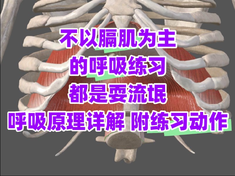改善斜方肌发达、圆肩含胸驼背