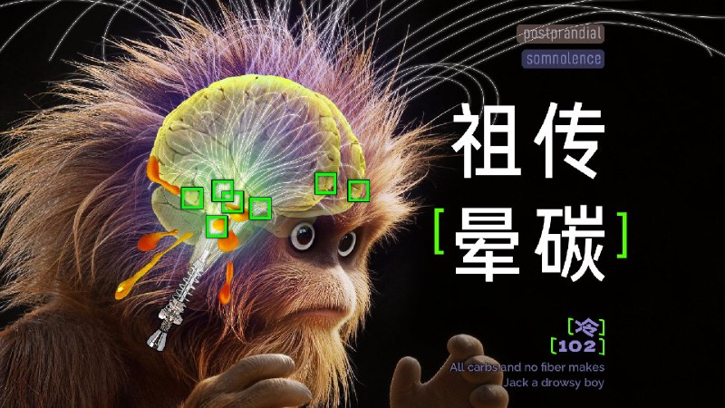 10秒入侵你的大脑中缝，“晕碳”竟是生存优势？-【冷却报告】卡进1纳米缝隙，它们究竟做了什么？碳菜肉 碳肉菜 菜碳肉 菜肉碳 肉碳菜 肉菜碳，实测极端食谱，怎么吃可以抵抗血糖冲击？深究晕碳链路后我们发现，6亿年前的共同祖先早已演化出会“晕碳”的生存优势