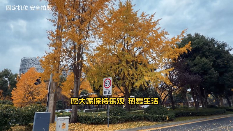 今年的一些温暖时刻iframe (External Player - 哔哩哔哩嵌入式外链播放器)via undefined 的 bilibili 投币视频 (author